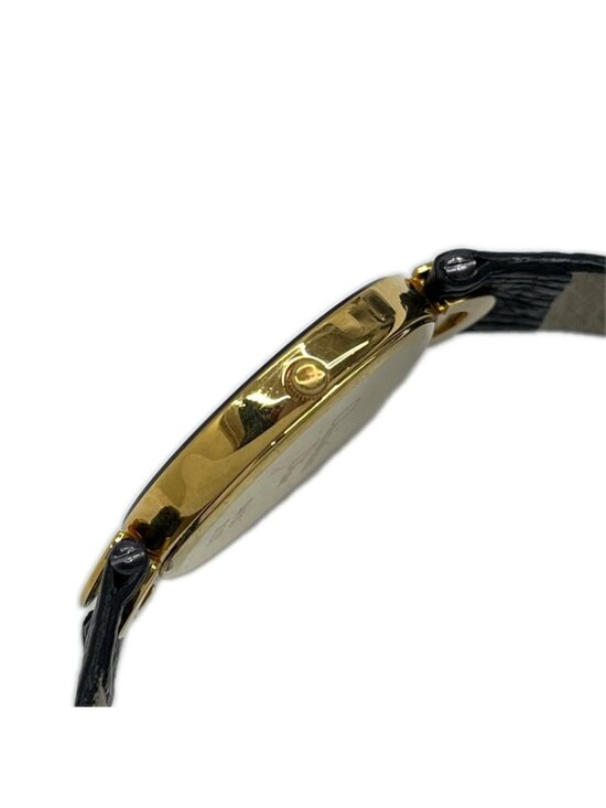 Dior Watch Bakira Quartz Leather R8 July Battery Replacement Swiss main image 7